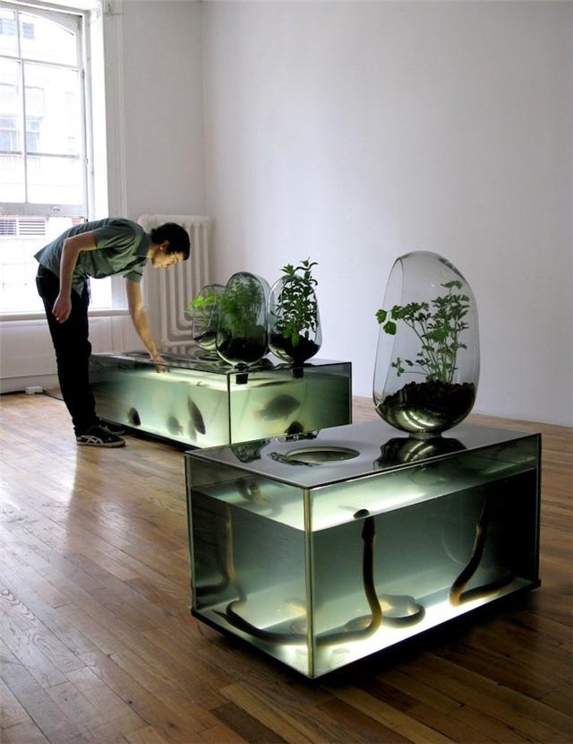 奇妙的diy生态系统鱼缸